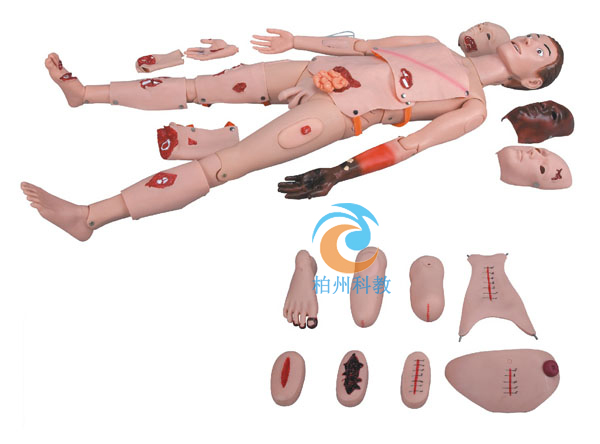 外科伤口护理模型
