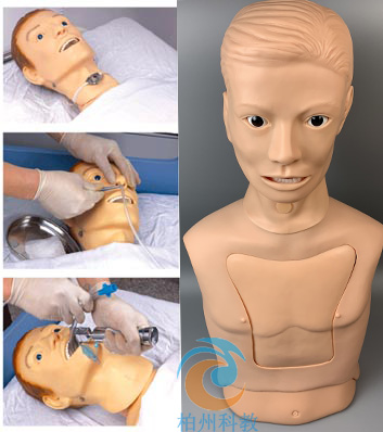 鼻胃管置入法训练模拟人