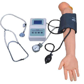 测量肱动脉血压训练手臂模型