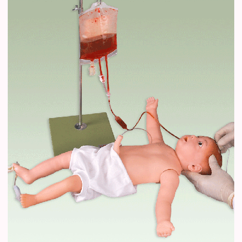 婴儿全身静脉注射模型
