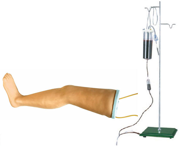 高级静脉输液腿模型
