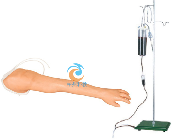 全功能完整静脉穿刺及注射训练手臂模型