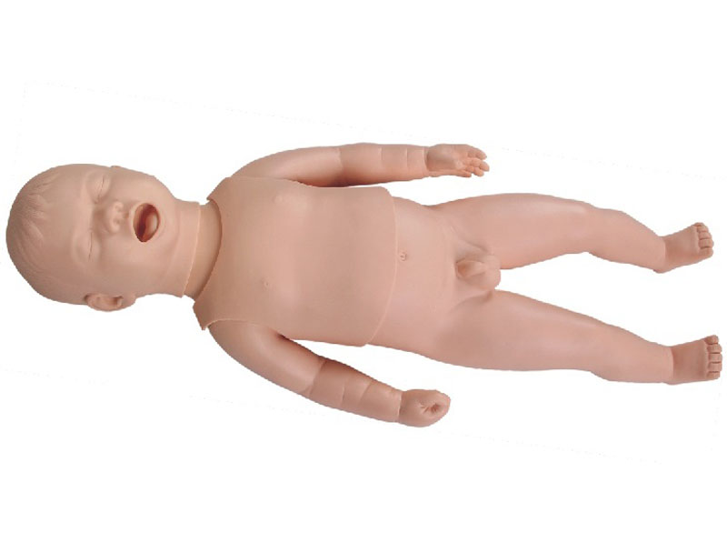 新生儿生长指标评定及护理训练模型