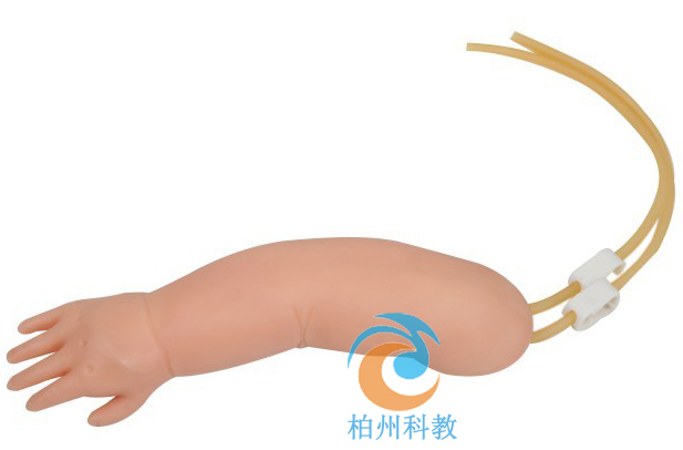 高级幼儿静脉穿刺手臂模型