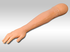 针灸训练手臂模型