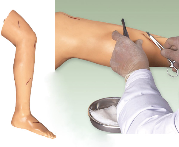 高级外科缝合腿肢模型