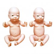 高级出生婴儿模型(男婴、女婴任选)