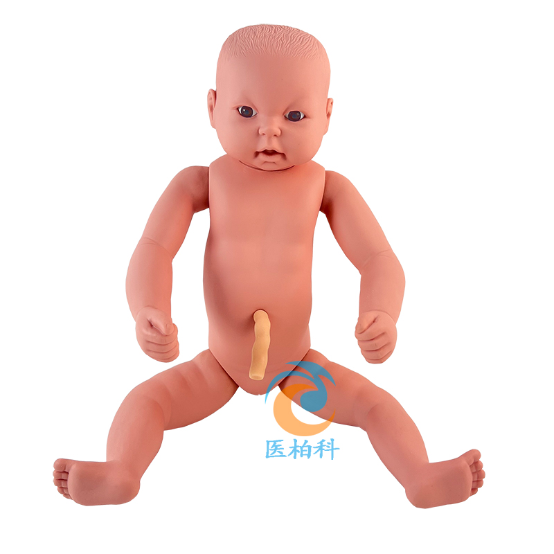 ߼Ӥģ