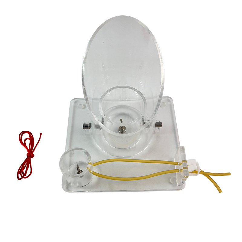 ��ƴ�Ἴ��ѵ��ģ��