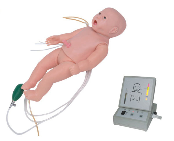 新生儿气管插管心肺复苏模型