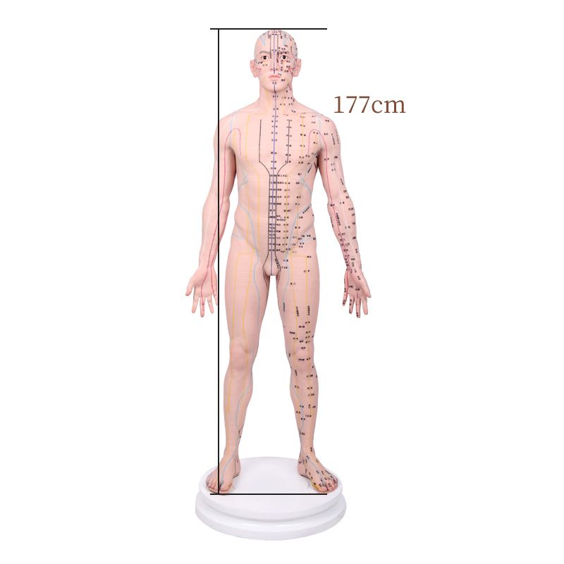 Ħģ17CM
